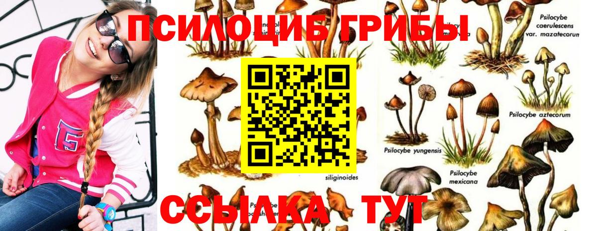 Псилоцибиновые грибы прущие грибы  Вход с VPN  Псилоцибиновые грибы Magic Shrooms  Полевской 